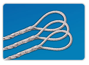 䓽z�K/����䓽z�K/����䓽z�K/�o(w��)���^�