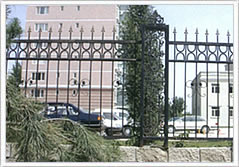 ����(y��ng)�Fˇ�řڇ���