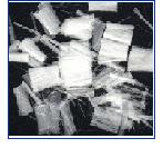 �����w�S