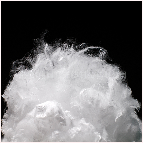 PP���w�����]���w�S��T-176