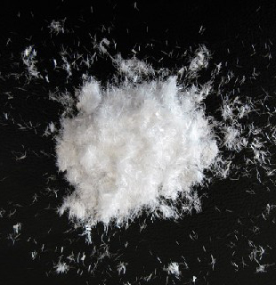 �����w�S