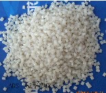 �o�������� 