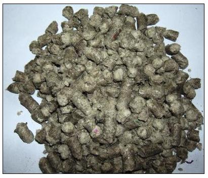 �w��������·�ù����w�S