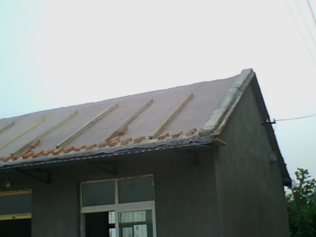 �B(y��ng)ֳ�������ßo����