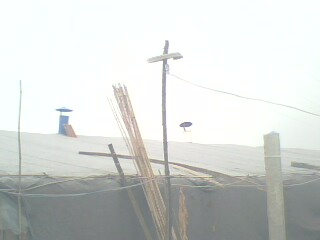 �B(y��ng)ֳ���Ú�