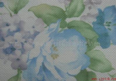 ����PET��(ӡ������)