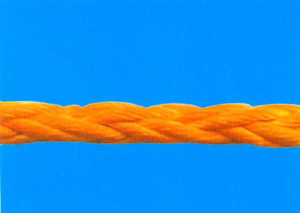 �߷��Ӿ���ϩ�K���������飩