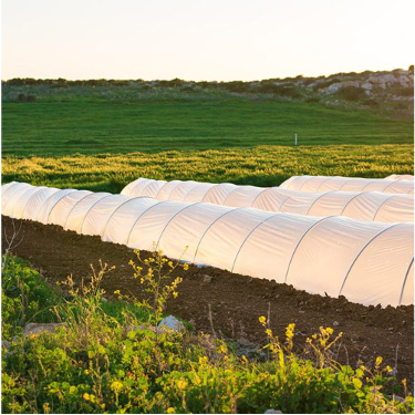 �����PP...