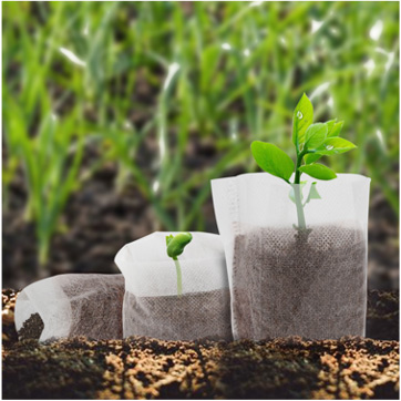 ���������P...