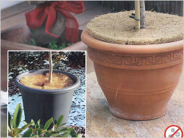 �����o(h��)��-�@...