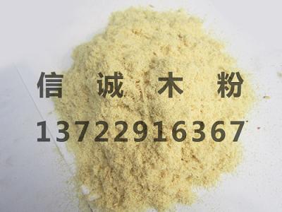 ľ�|�w�S�ۣ�ľ�|�w�S�ۃr��