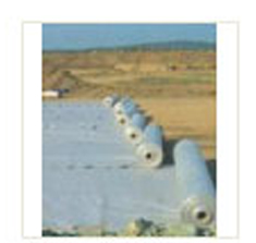 �ͺ�����Ĥ