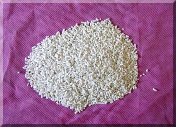 �o�����������ĸ��