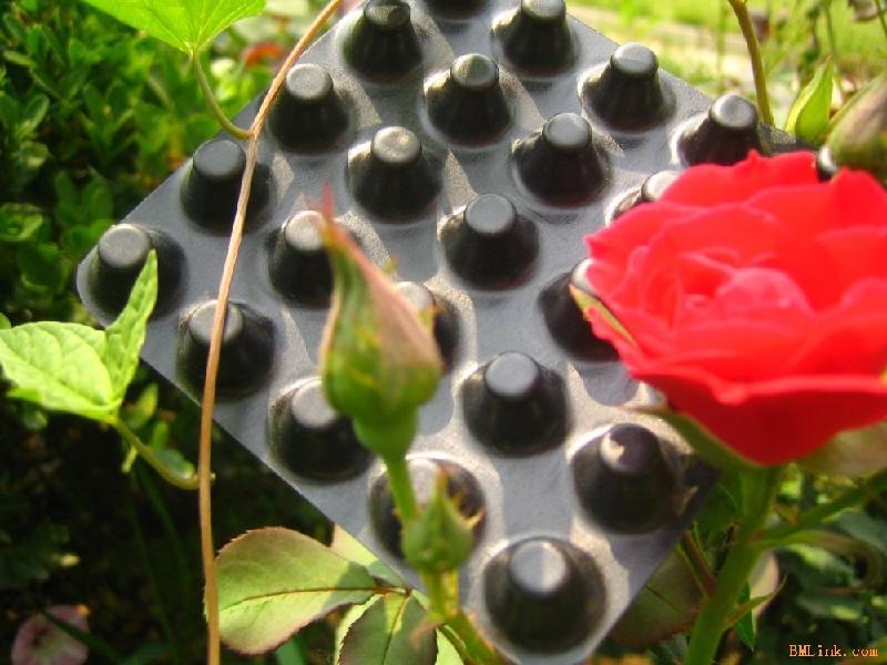 �V�|/տ����픾G����ˮ�壨�gӭ����܇����ˮ��