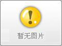 PP����ĸ��