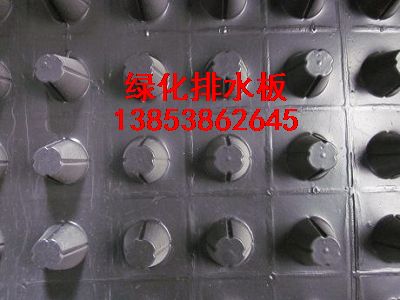 ������ˮ��++���L(zh��ng)������ˮ��