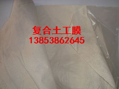 ɽ�|��(f��)������Ĥ�����������BĤ����ɽ�|�N��