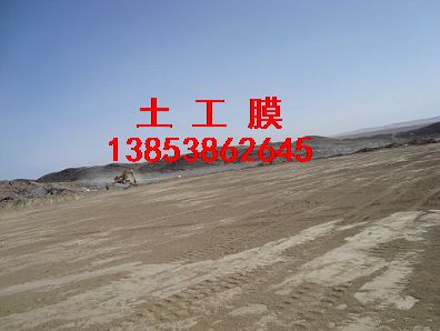 �������Ĥ++�����(f��)������Ĥ�������ַ��B