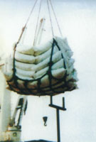 ���]�K��؛�W(w��ng)�j(lu��)