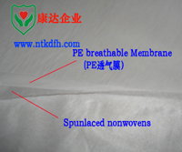 ᘴ̏ͺϟo����