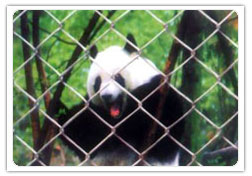 �����W(w��ng) ֧�o(h��)�W(w��ng) �F�W(w��ng) ���o(h��)�W(w��ng) ��j(lu��)�W(w��ng)