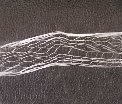 �۱�ϡ�w�S�W(w��ng)