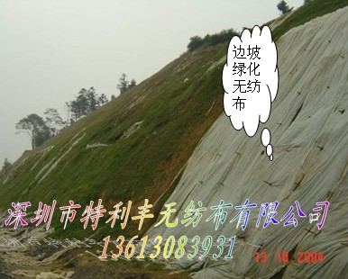 ߅�¾G���o����