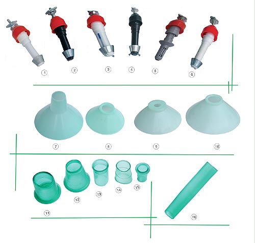 �����C��� 