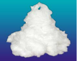 �����X�մ��w�S��