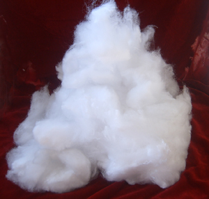 ���]���w