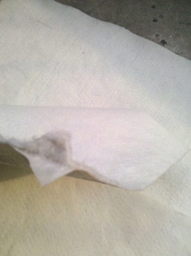 �o��������