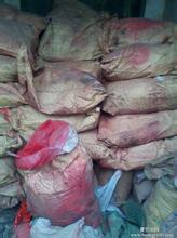 �߃r��ُ�U�fȾ�ϼ����