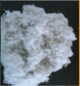 ·��ľ�|(zh��)���w�S