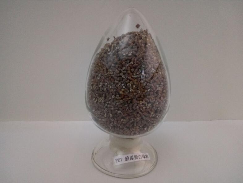 �zԭ����PPĸ��